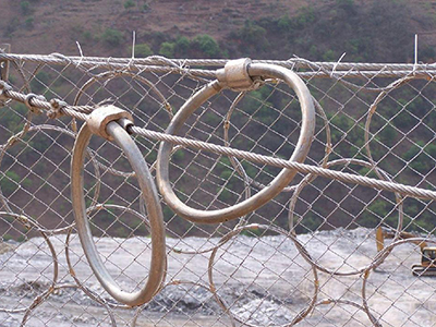 環(huán)形邊坡防護(hù)網(wǎng) - 安平縣佰泰金屬絲網(wǎng)制品有限公司