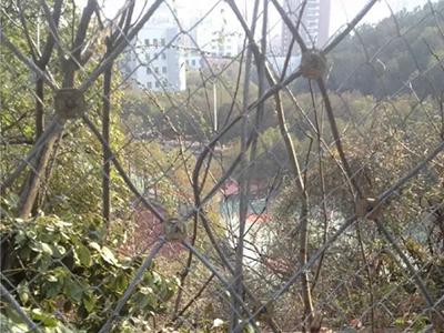 湖北黃石市白馬公園防護網(wǎng)案例 湖北黃石市白馬公園防護網(wǎng)案例
