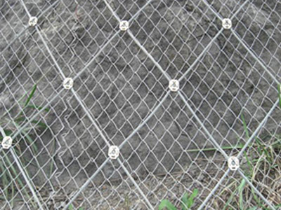 RX-025型菱型網(wǎng) - 安平縣佰泰金屬絲網(wǎng)制品有限公司