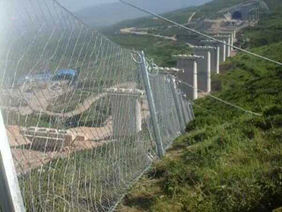 RXI-100型被動防護網(wǎng) - 安平縣佰泰金屬絲網(wǎng)制品有限公司