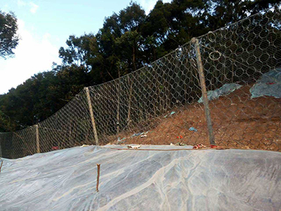 RXI-200型被動防護網(wǎng) - 安平縣佰泰金屬絲網(wǎng)制品有限公司