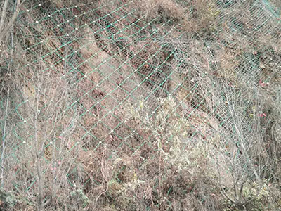 四川兩河鎮(zhèn)邊坡防護工程 四川兩河鎮(zhèn)邊坡防護工程